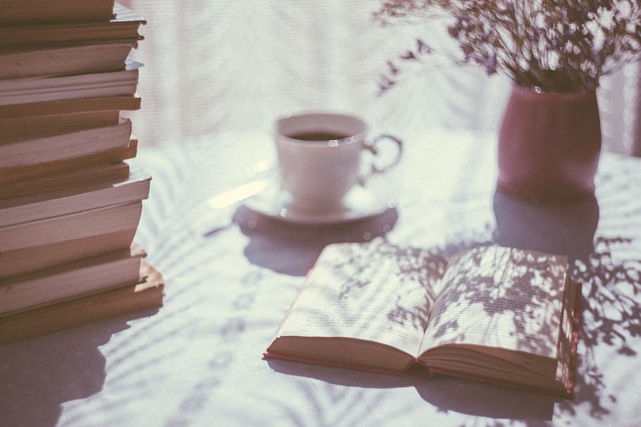 buku, pengetahuan, pendidikan, meja, pagi, sinar matahari, bunga, kopi, cangkir, cangkir kopi