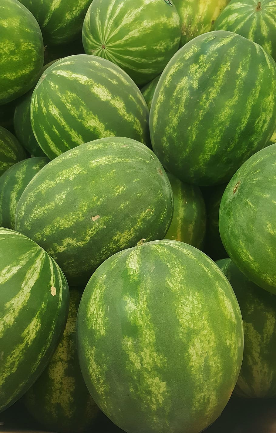 watermelon, melon, seedless, food, summer, fruit, eat, green, refreshing, grocery