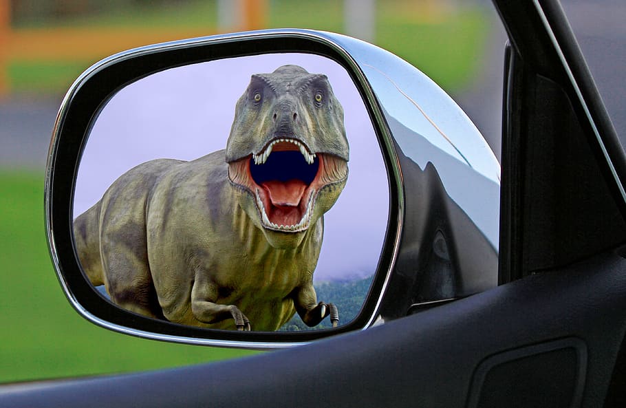 espelho lateral do veículo, mostrando, dinossauro, espelho, espelho de asa, atrás de, perseguição, perigo, surpresa, pré-histórico