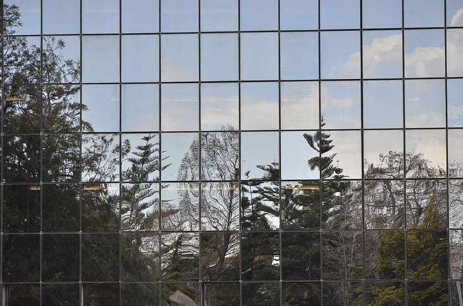 reflexión, vegetación, cristalería, ventana de la oficina, cielo, arquitectura, expresión, estructura, cielo azul, ciudad
