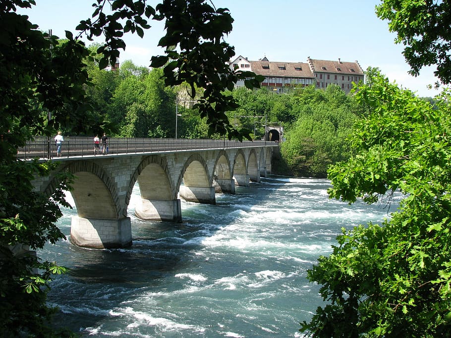 Puente, Cataratas del Rin, Schaffhausen, cascada, Rin, Suiza, puente - estructura hecha por el hombre, arquitectura, conexión, estructura construida