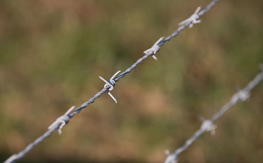 barbed wire, dangerous, pointed, fence, demarcation, close, obstacle, captivity, protection, safety
