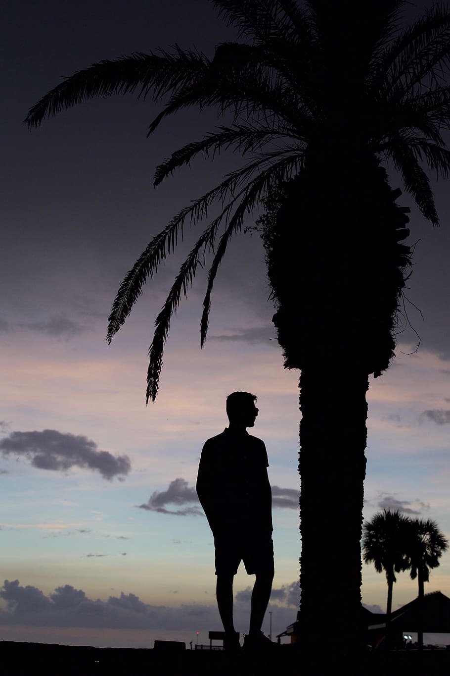 silhouette, palm tree, teenage, ocean, colorful clouds, style, fashion, water, teenager, sea