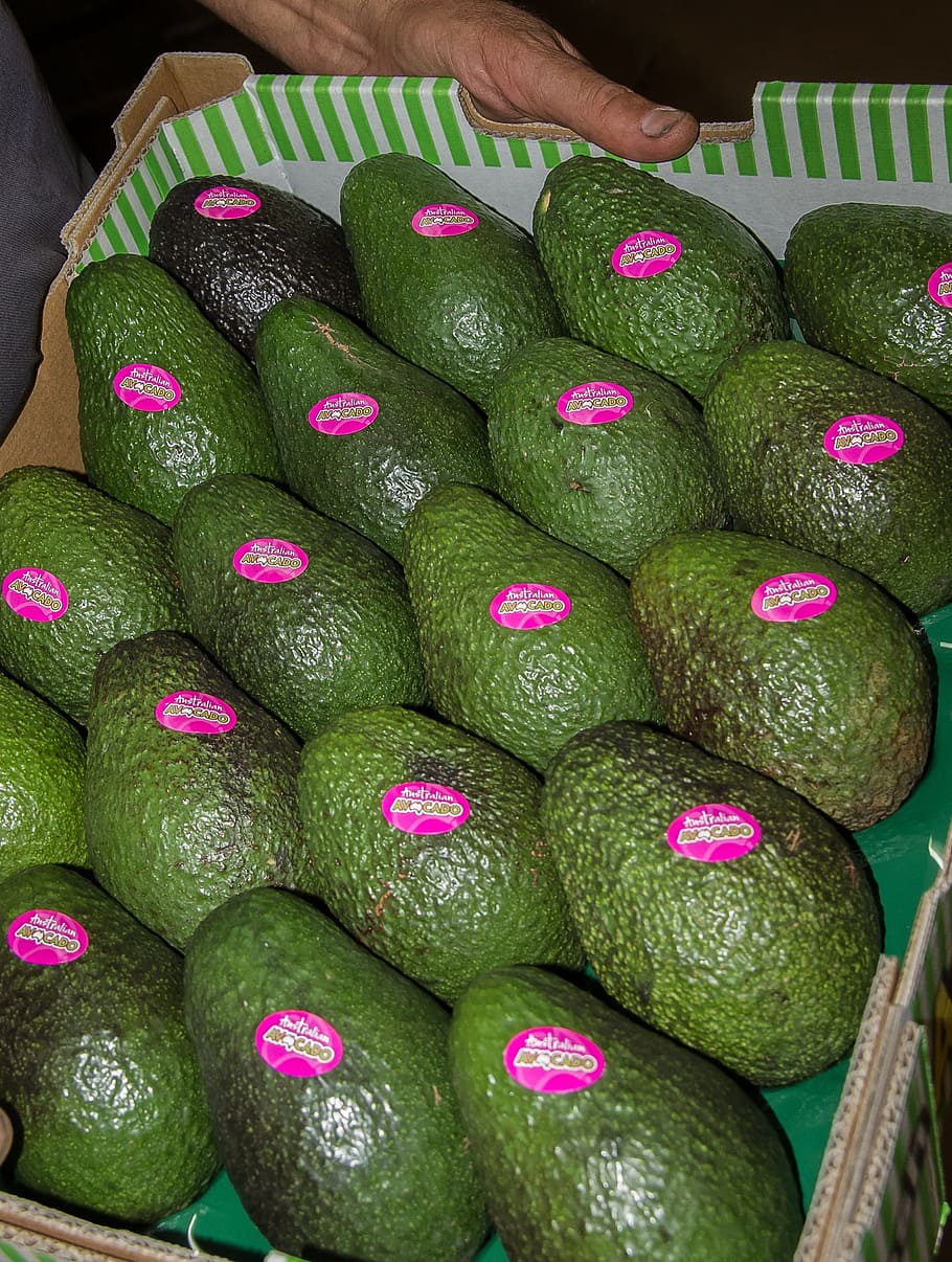 hass avocado, avocados, fruit, food, green, box, labels, market, natural, healthy