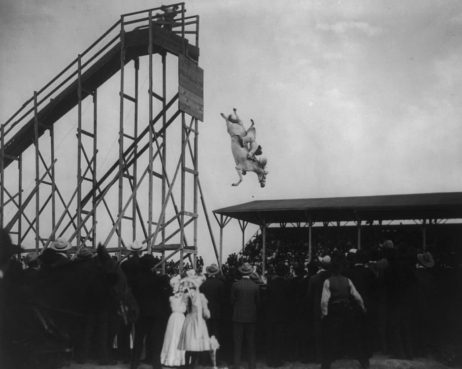 horse diving, vintage, jumping, tower, history, horse, performance, dive, mounted, daredevil