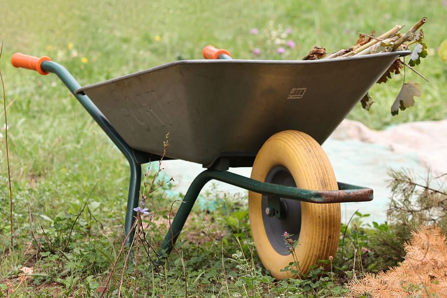 wheelbarrows, wheelbarrow, grass, collect, recharge, gardening, garden, transport, work, cart