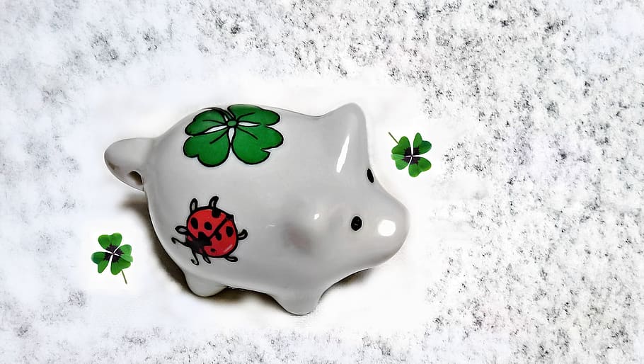 pig, snow, lucky pig, lucky charm, symbol of good luck, four leaf clover, new year's eve, new year's day, plant, nature