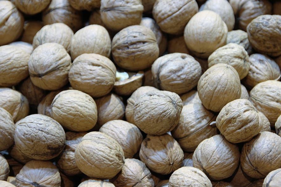 walnuts, nuts, macro, close up, seedling, walnut, nut, eat, food, brown