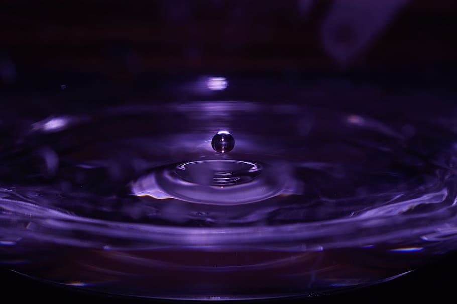macro photography, water drop, water, ripples, drop, droplet, purple, liquid, splashing, nature