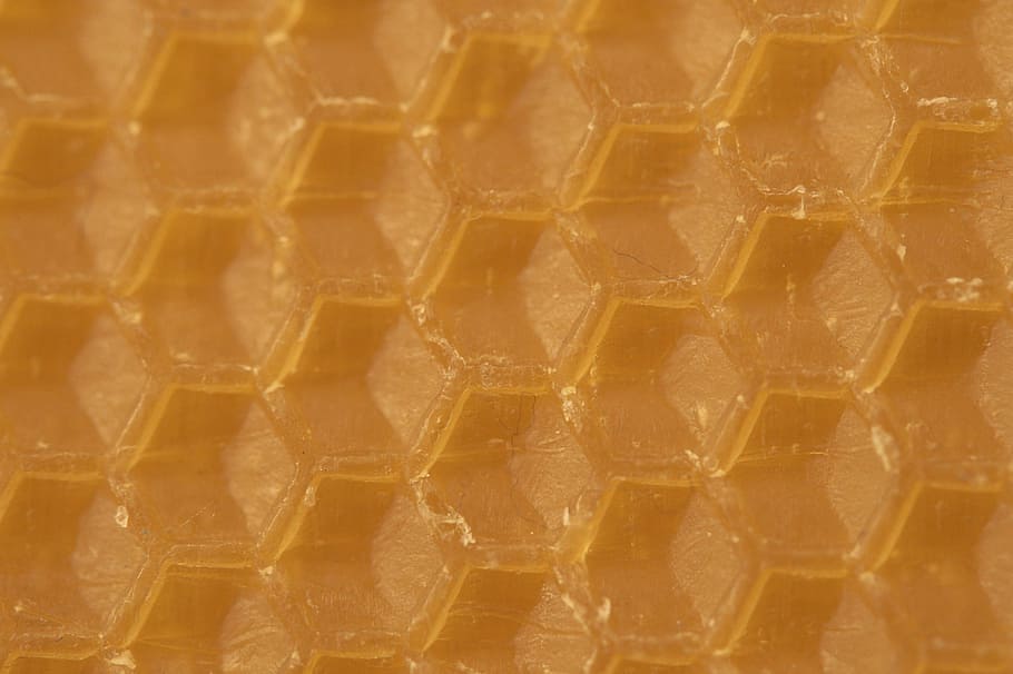 honey, close-up photography, beeswax, combs, honeycomb, honeycomb structure, hexagons, hexagon, wax, structure