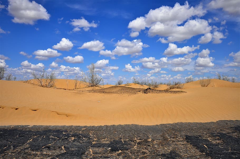 ウズベキスタン, 砂漠のキジルクム, 砂, 自然, 風光明媚な-自然, 環境, 空, 風景, 雲-空, 土地