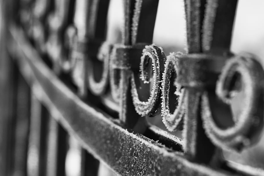 grid, fence, metal, wrought iron, goal, iron, input, ornament, cold, frost