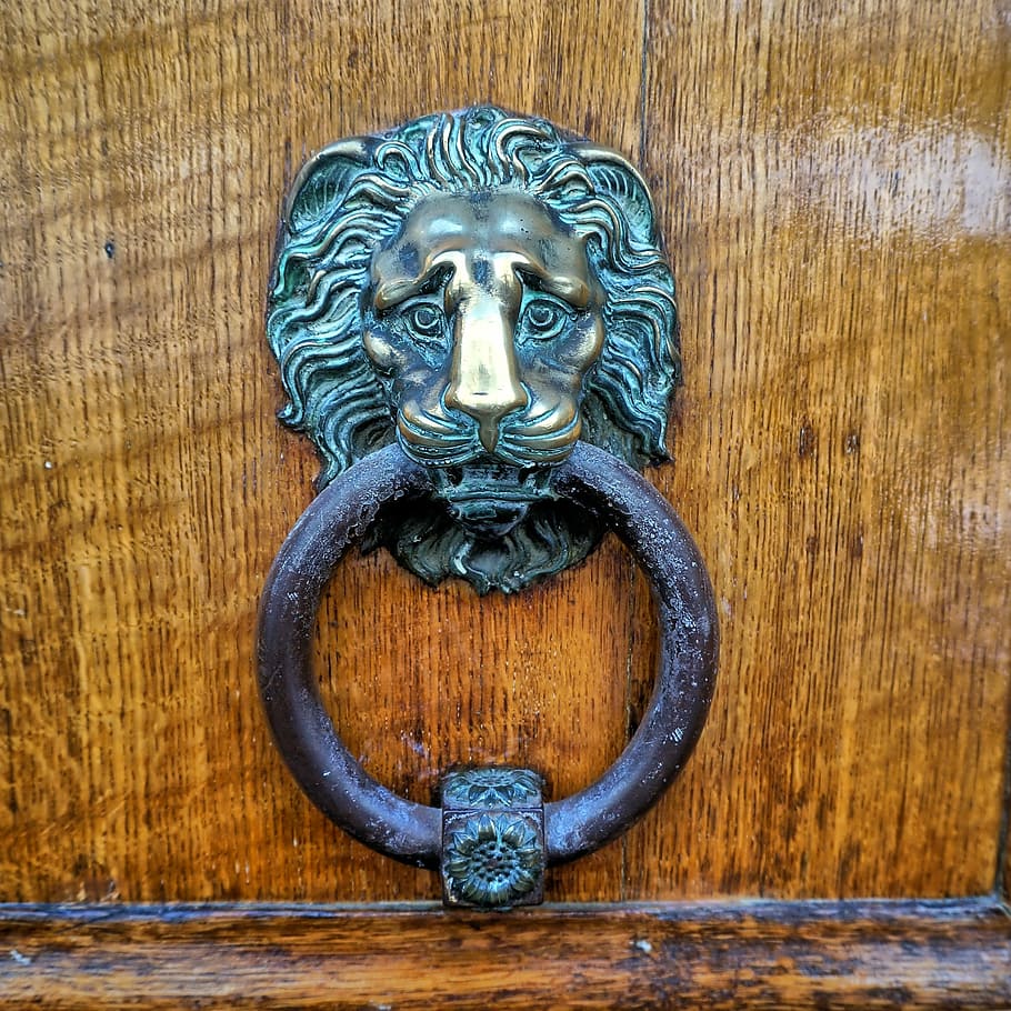lion, knocker, door, bronze, patina, accessory, house, door knocker, wood - material, art and craft
