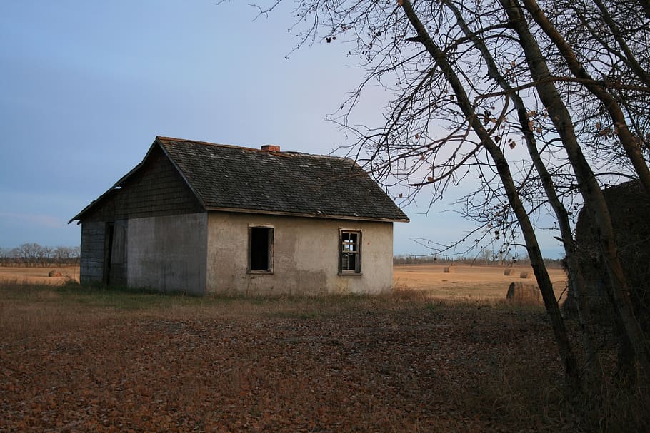 farm house, old, farm, abandoned, house, building, farmhouse, rural, decay, wood
