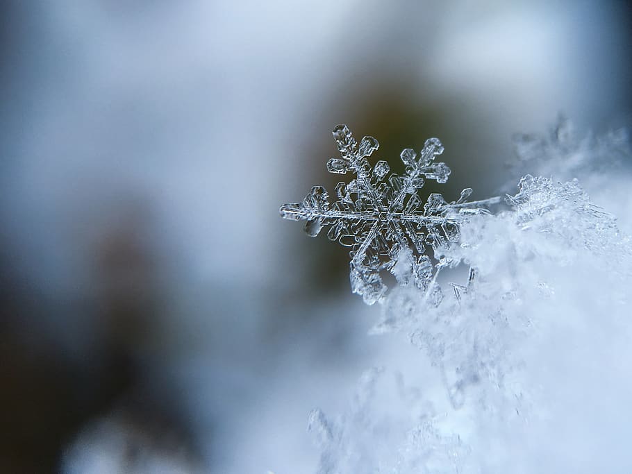 snowflake, ice, frozen, cold, winter, cold temperature, snow, close-up, white color, nature