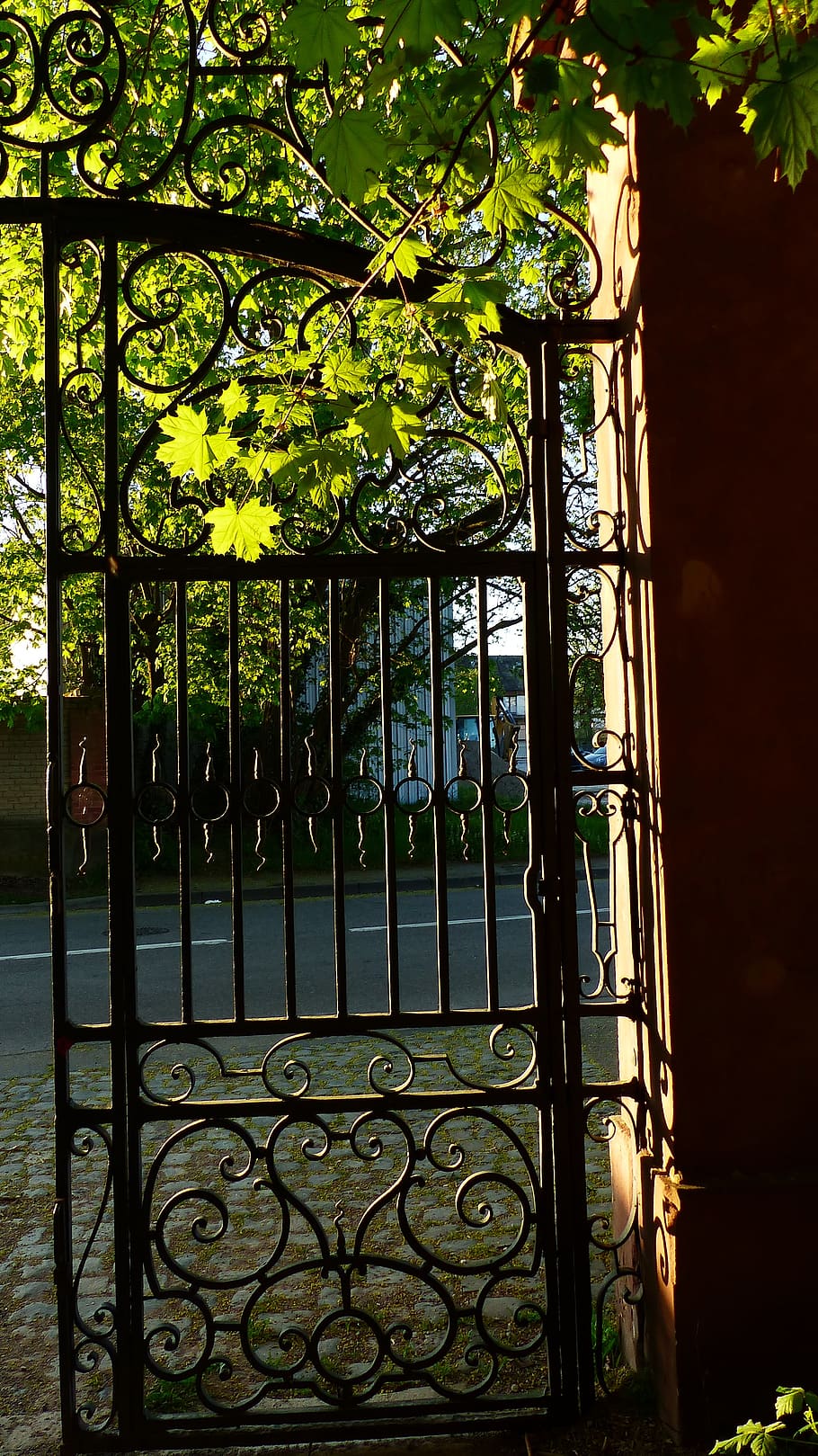 iron, door, at the age of, old, decorative, heritage, plant, architecture, tree, entrance