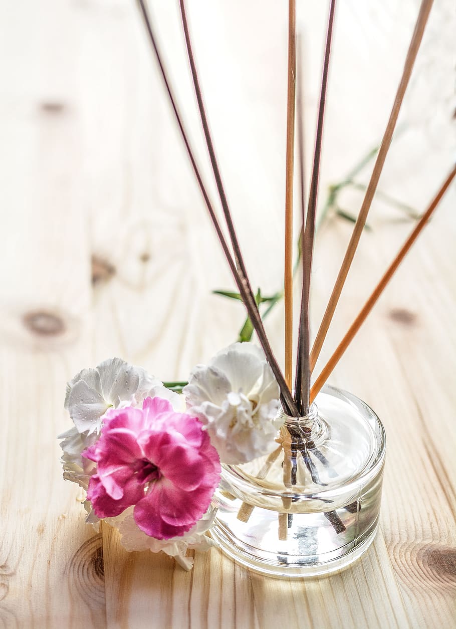 three, petaled flower, twigs, bottle, top, table, flower, on top, scent, sticks