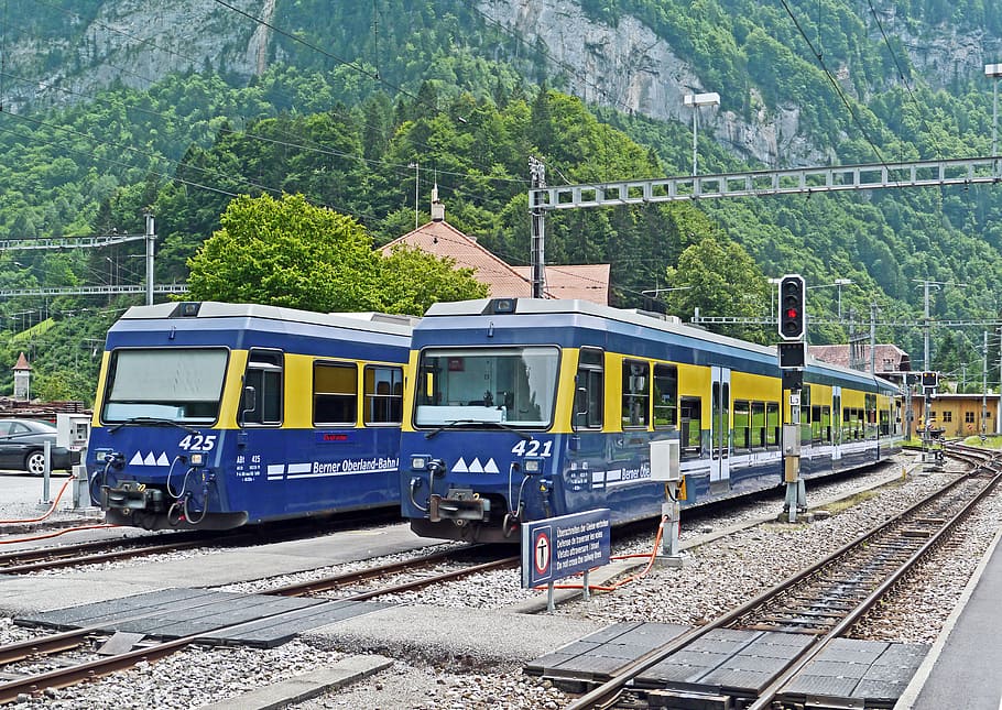 푸른, 노랑, 기차, 스위스, 융프라우 지역, 밥, 전기 다중 유닛 열차, 추 크게 겐, 기차 회의, 기차역