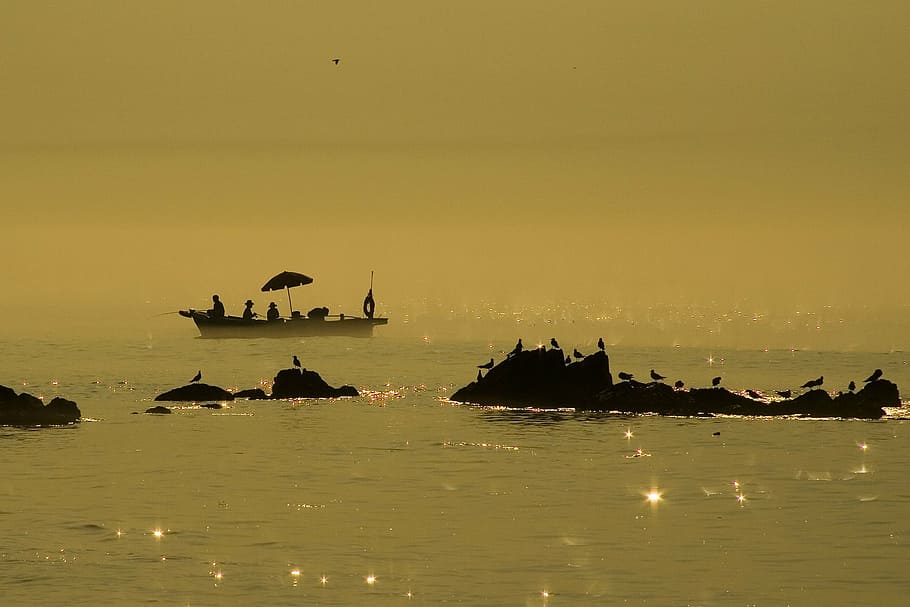 silhouette photo, birds, rock formation, boat, coastal, island, fishing boat, sun mu, sea, fishing
