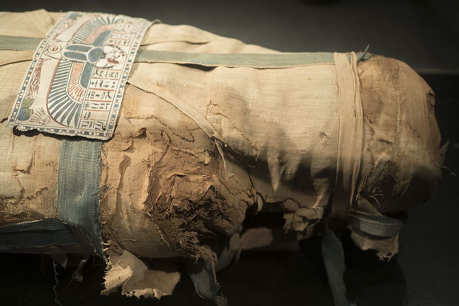 egypt, mummy, egyptian, ancient, indoors, mammal, one animal, close-up, sack, old