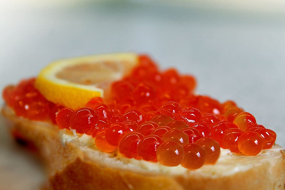 red caviar, seafood, a sandwich, breakfast, still life, sandwich, red, caviar, snacks, nutrition