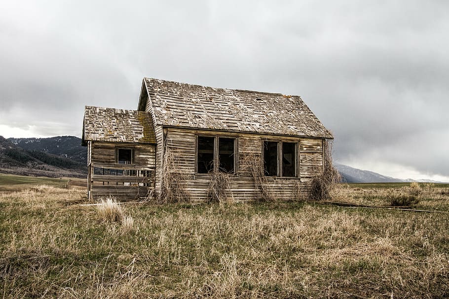 brown, house, green, grass field, old farm house, decay, home, farm, architecture, rural