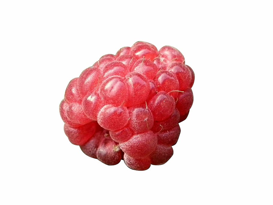 Raspberry, berry, close up, merah, buah, makanan, berry Fruit, kesegaran, matang, terisolasi
