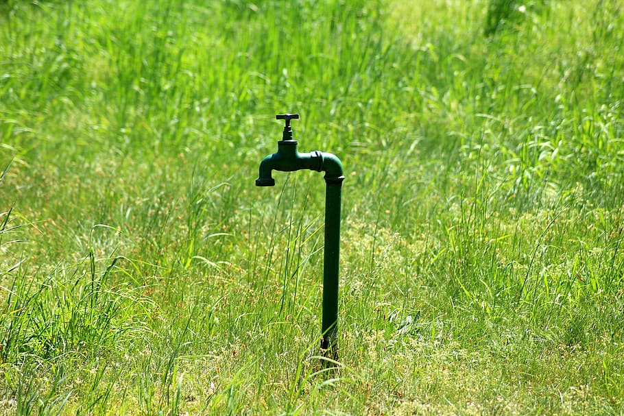 black, faucet, grass field, fire hydrant, waterworks, water intake, the valve, cock, metal, knob