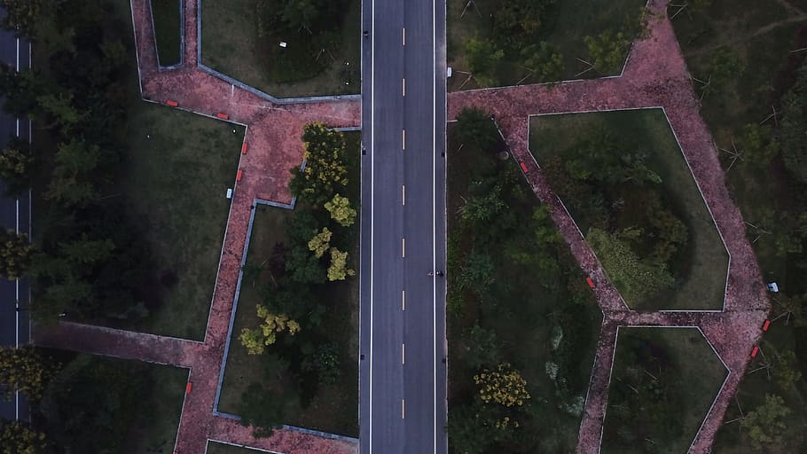 geometric, road, from above, plant, window, architecture, nature, outdoors, day, tree