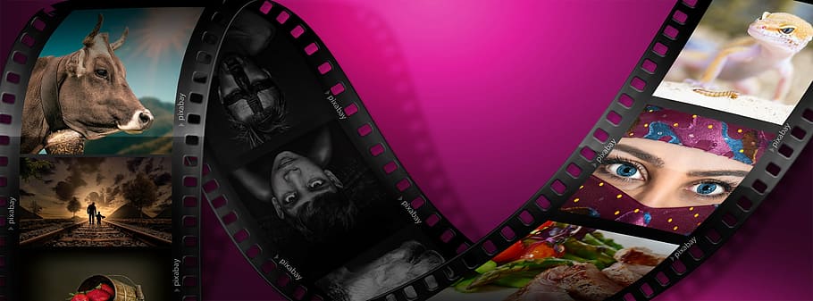 film strip collage, photo time line, negative, film, photo film, photo strip, pink color, purple, indoors, film industry