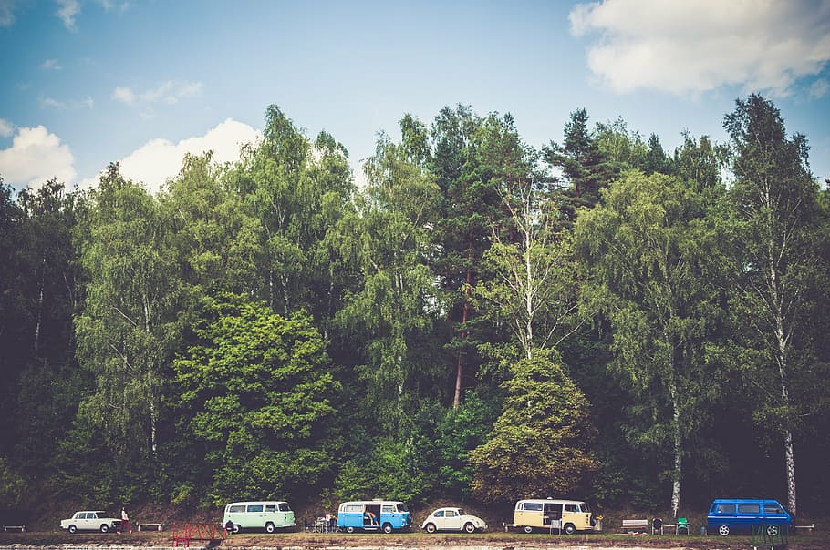 vehicles, road, green, treeline, daytime, parked, cars, vans, camping, outdoors