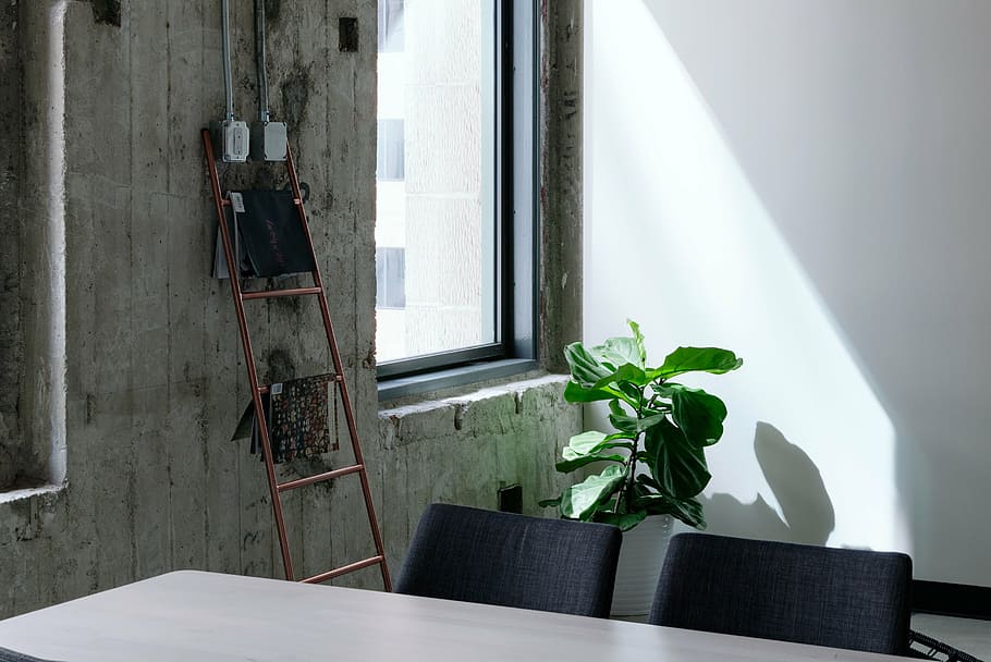 marrom, escada, inclinando-se, parede, verde, folheado, planta, mesa, cadeira, janela