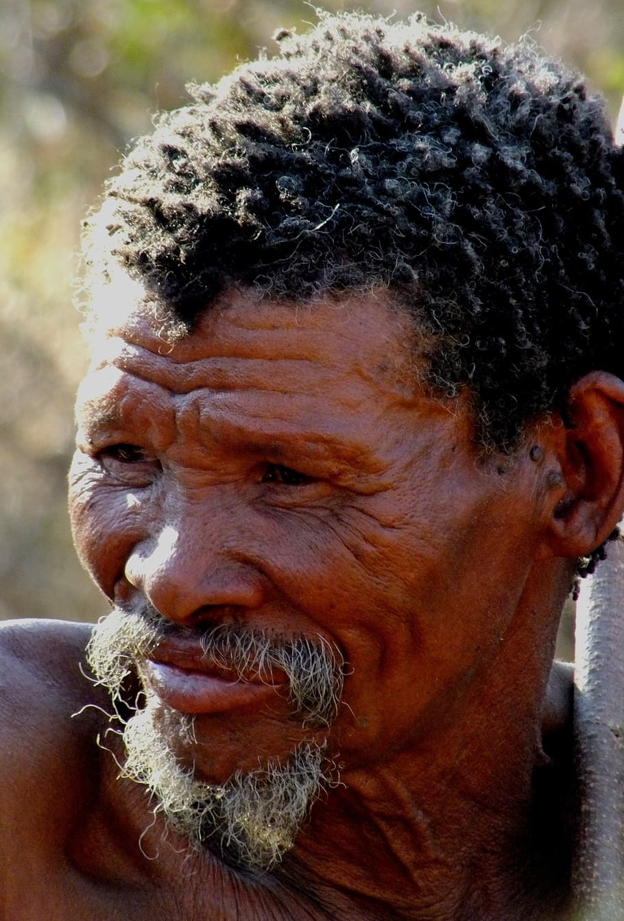 san man, bushman, old man, wrinkled, namibia, real people, one person, portrait, lifestyles, facial hair