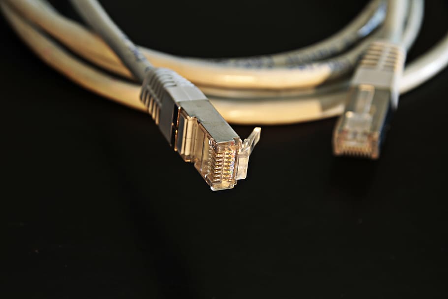 closeup, kabel ethernet foto, jaringan, kabel jaringan, koneksi, plug, kabel patch, internet, lan, kabel
