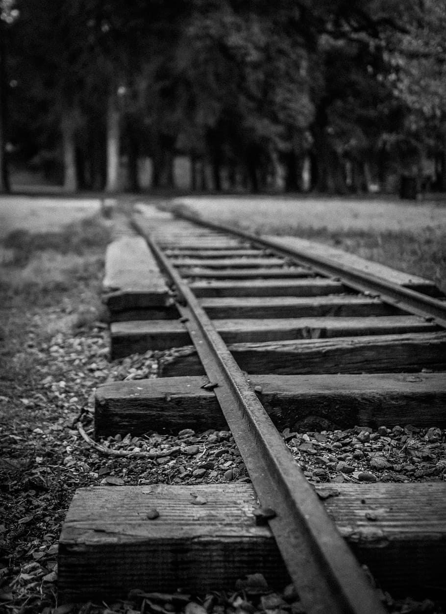 Tracks, Train, Black And White, Railroad, railway, rail, railroad Track, outdoors, no People, transportation