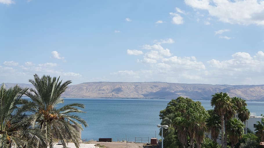 israel, galilee, sea, lake, kinneret, galileo, landscape, capernaum, tourism, nature