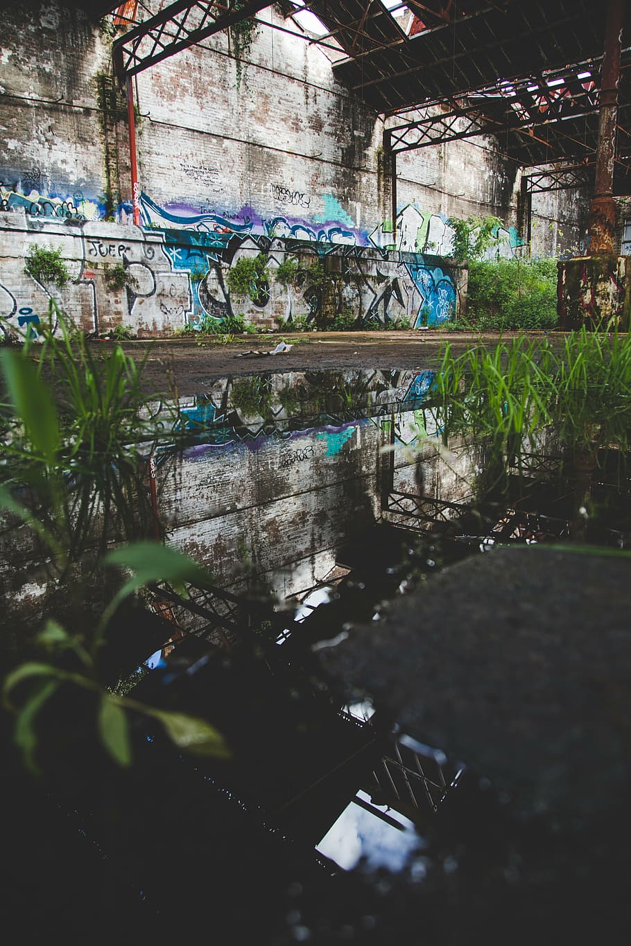 architectural, photography, abandoned, building, reflection, wall, water, dark, green, plant