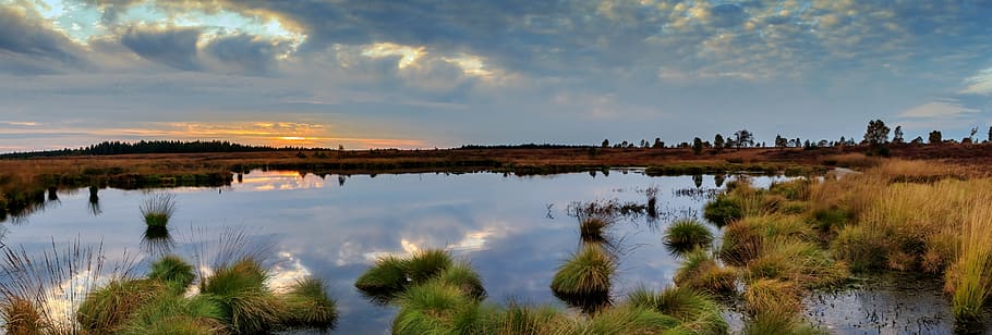 landscape photo, body, water, panorama, moor, swamp, nature conservation, nature reserve, nature, landscape