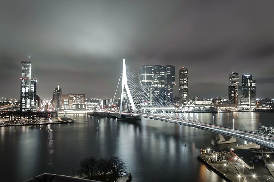 lighted, concrete, bridge, night, rotterdam, netherlands, holland, landscape, city, air