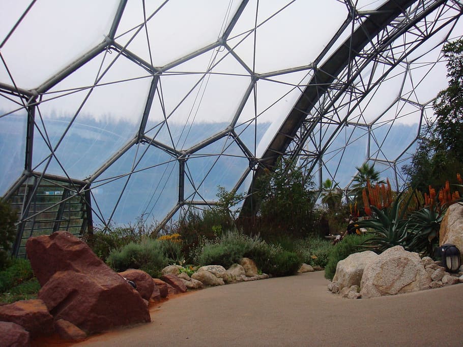 Eden Project, Greenhouse, Plants, cornwall, dome, conservation, project, glasshouse, environment, environmental