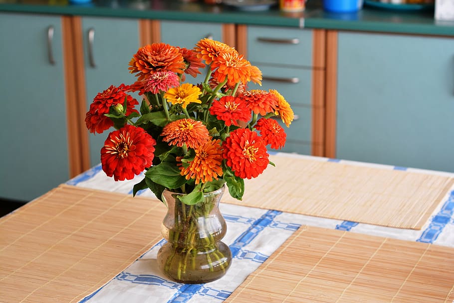 orange, flowers, vase, bouquet, summer, zinnia, garden flowers, dining table, decoration, table