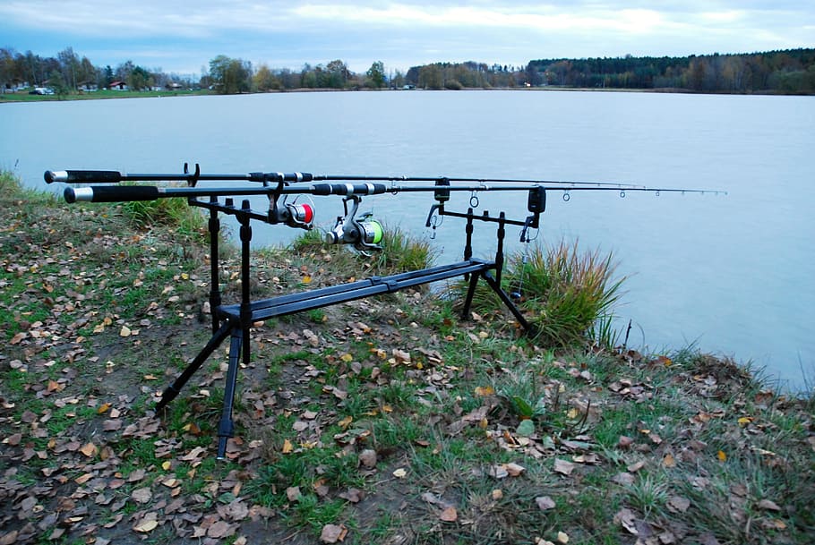 rods, fisheries, tool, pond, evening, stand, bank, fishing rod, water, fishing