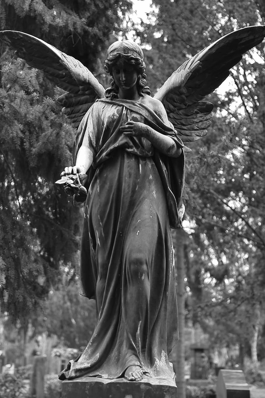 figura de pedra, cemitério, escultura, escultura em pedra, lápide, luto, cara de anjo, figura do túmulo, anjo, estátua