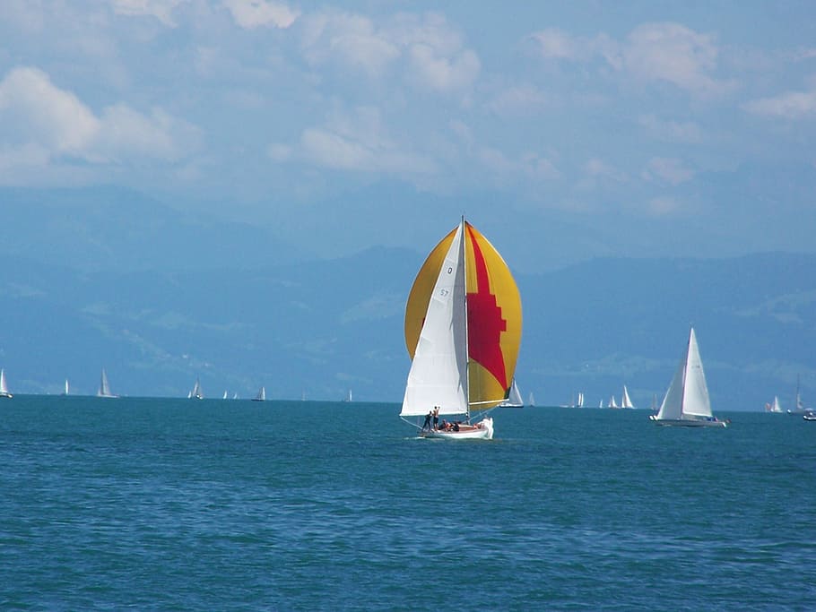 sailing boats, sport, water, lake constance, nautical vessel, sea, waterfront, transportation, sailboat, sky