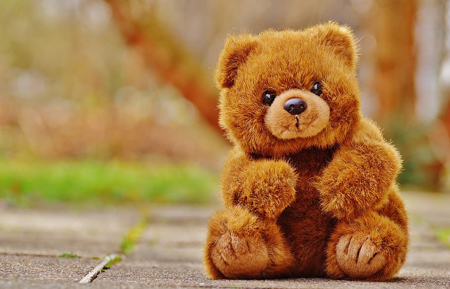coklat, beruang, mewah, mainan, tembakan dangkal-fokus, teddy, mainan lunak, boneka binatang, teddy bear, beruang coklat