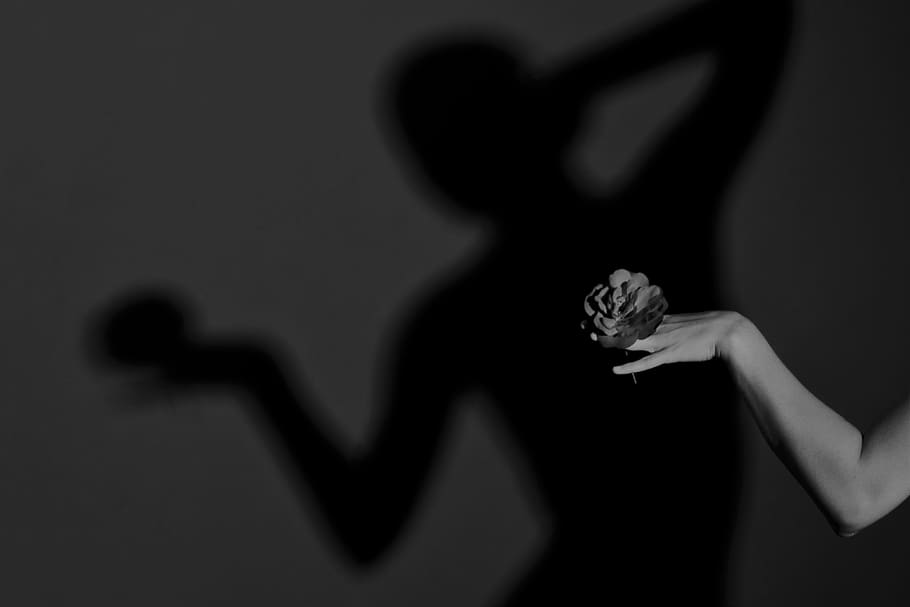 shadow, woman, romance, silhouette, hand, mystical, mood, model, flower, girl