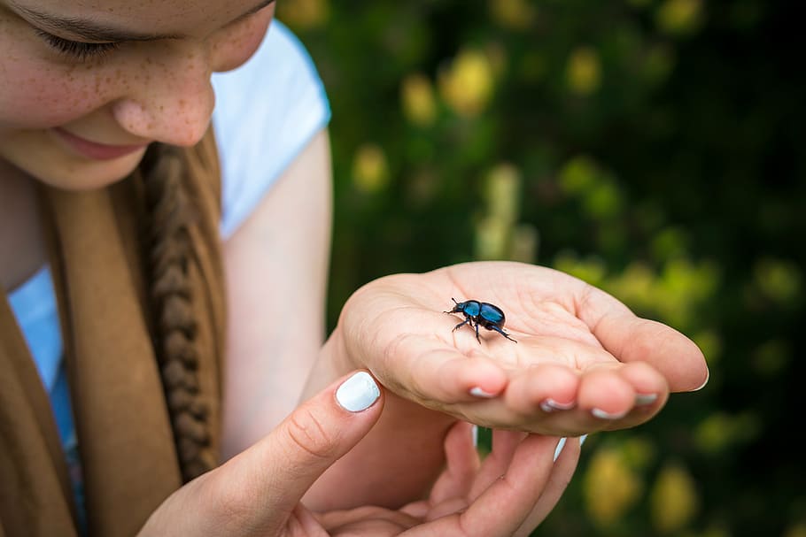 woman, holding, black, bug, green, bush, daytime, beetle, dung beetle, hand