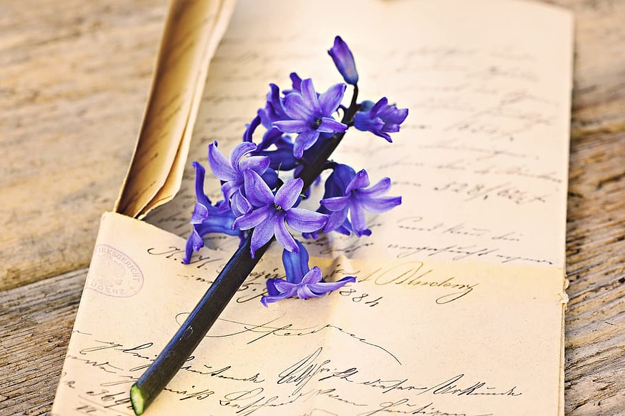 purple, hyacinth flowers, paper, hyacinth, flower, fragrant flower, blue, flowers, fragrant, letters