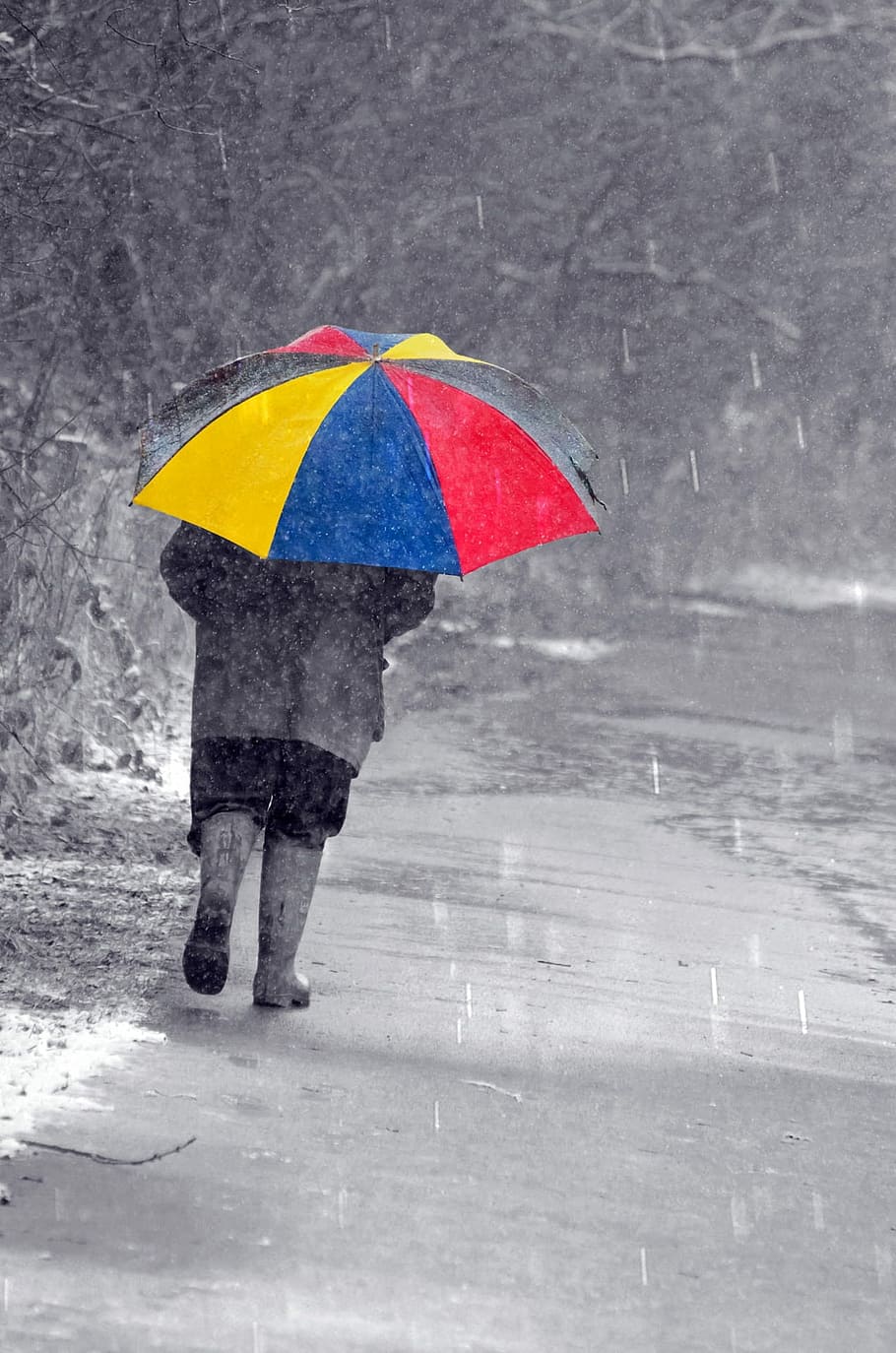 selective, color photography, person, holding, umbrella, woman, blue, yellow, red umbrella, walking