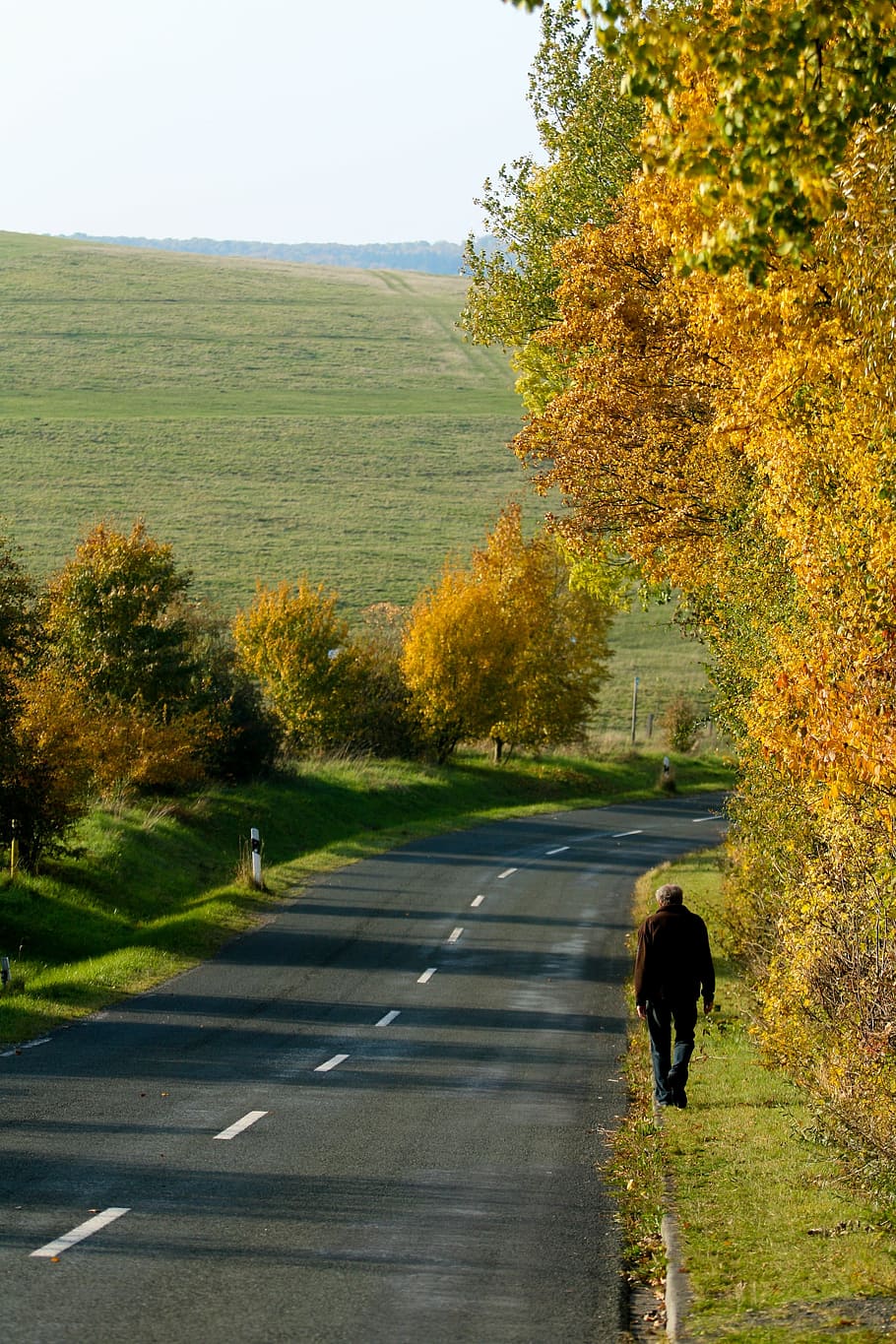 Путь животного. Путь животных. Пути животное.